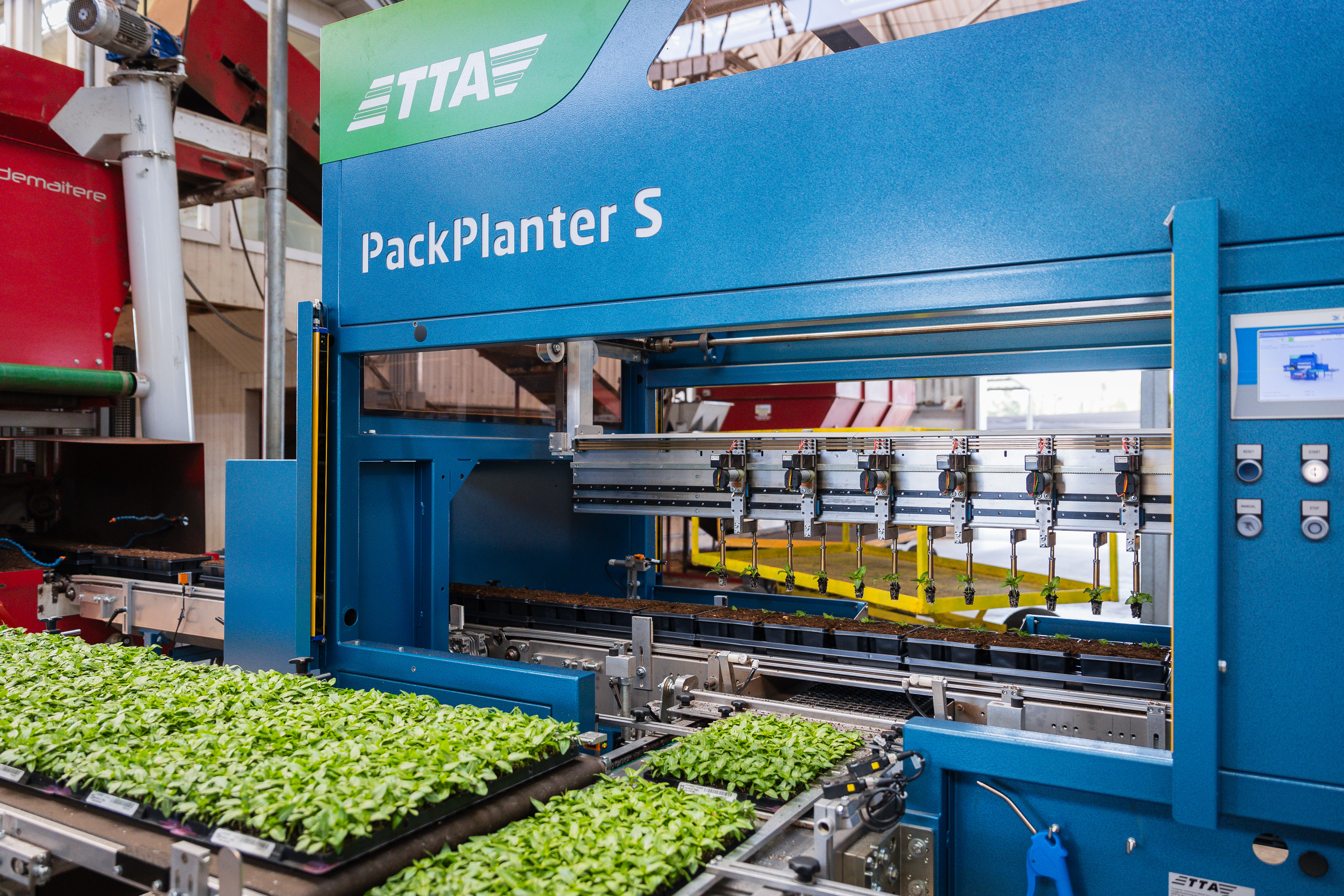 Pinças robóticas do modelo TTA-ISO PackPlanter segurando mudas durante o transplante em uma estufa.