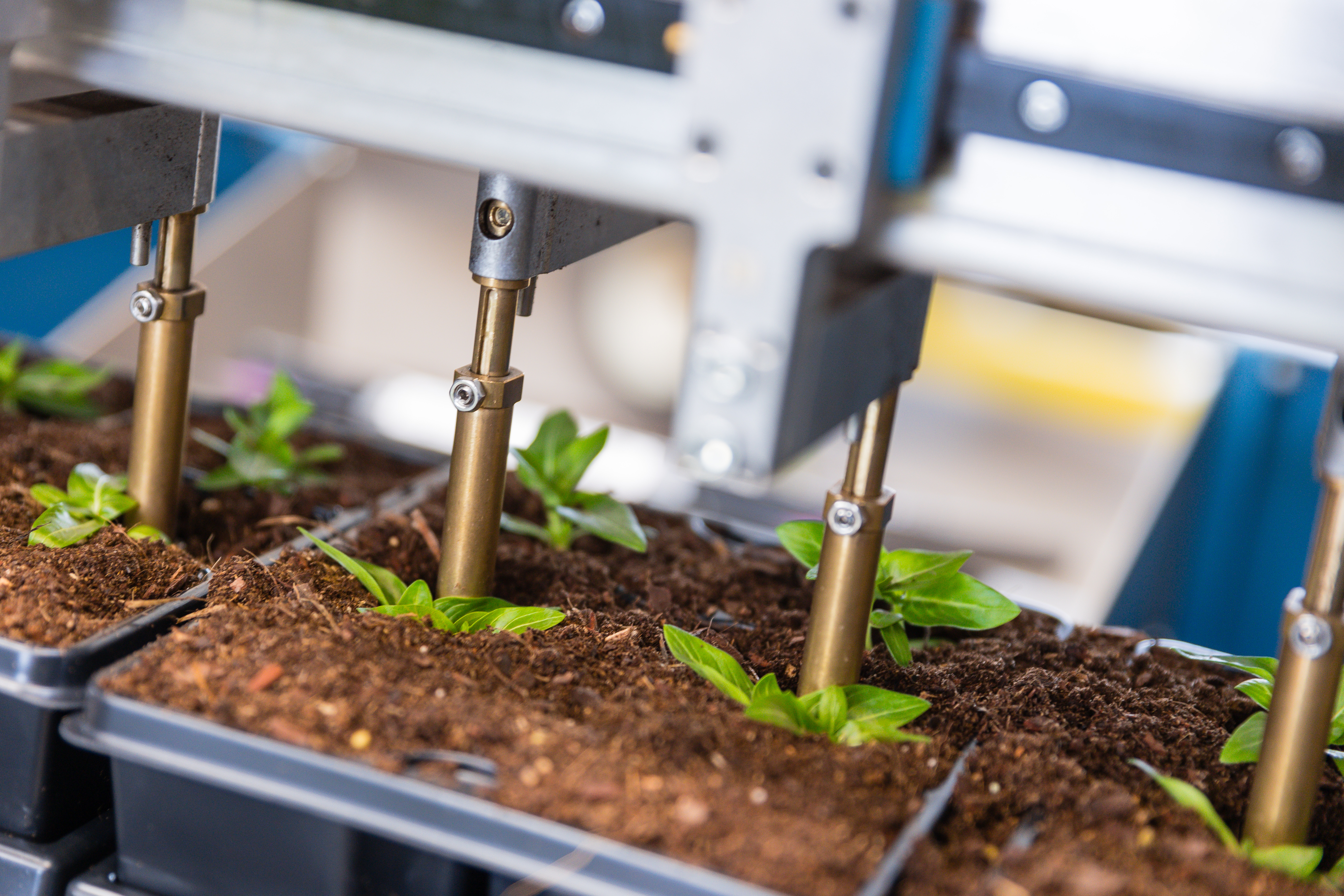 Mudas sendo colocadas em trays pinças robóticas do TTA-ISO PackPlanter.